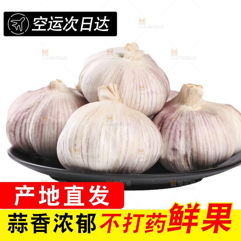 白底上的干蒜