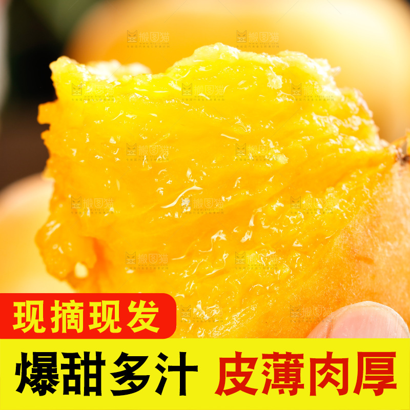 深底上的黄毛蟠桃