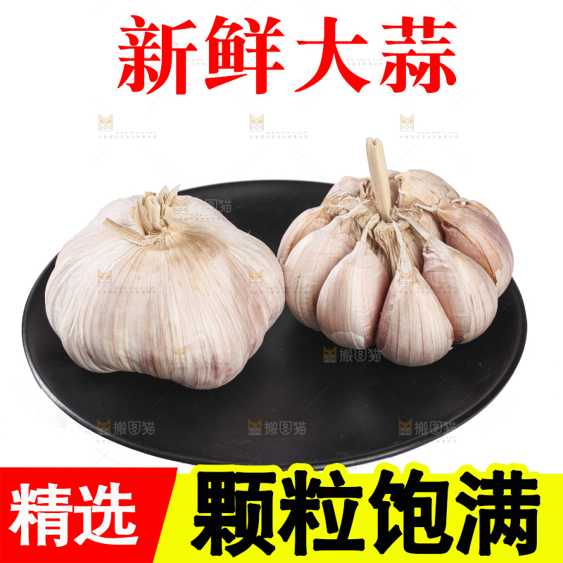白底上的干蒜