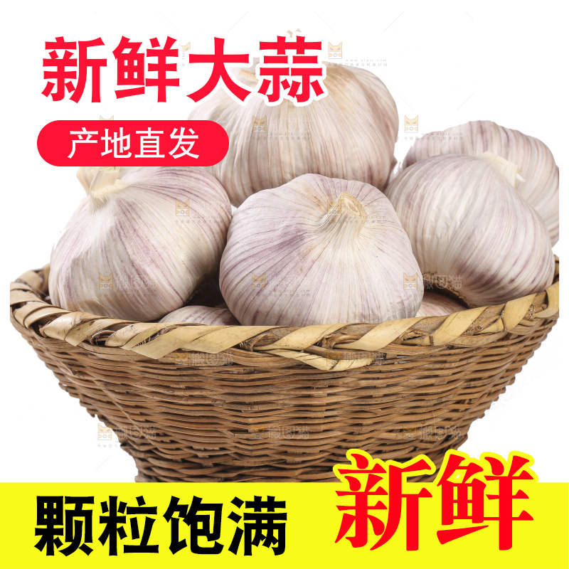 白底上的干蒜