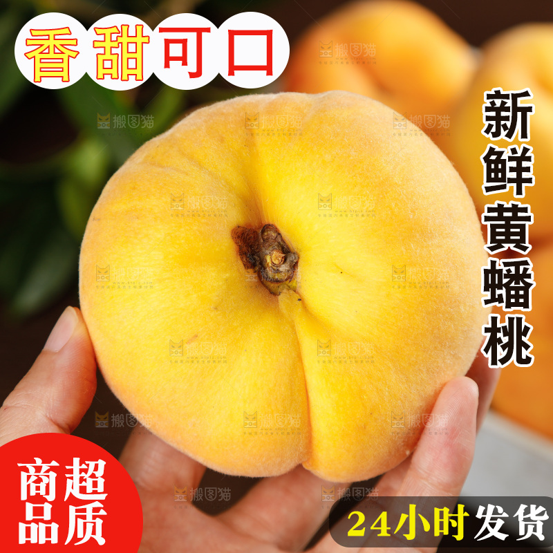 深底上的黄毛蟠桃