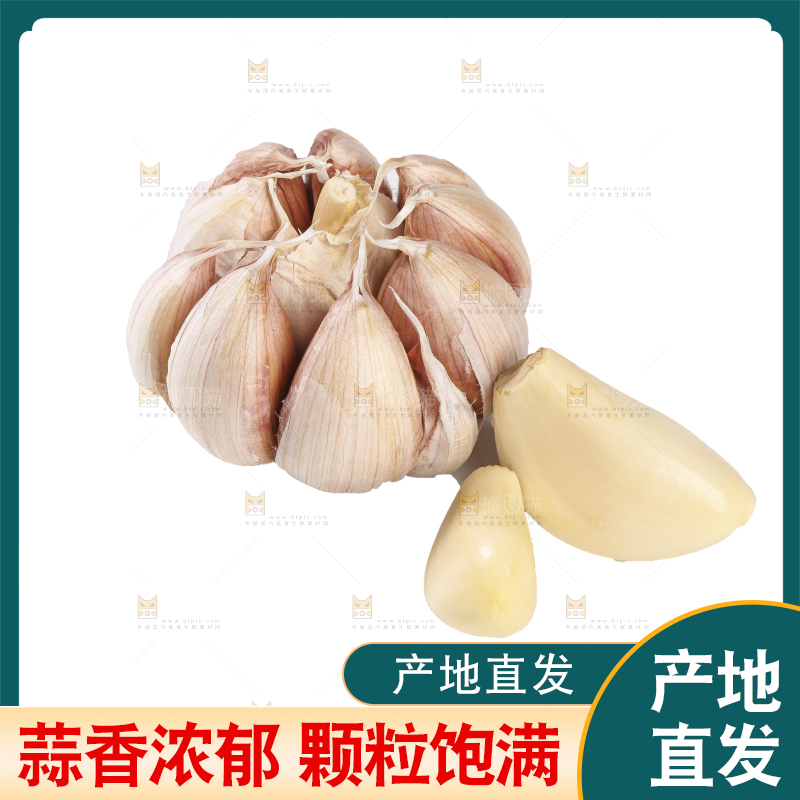 白底上的干蒜