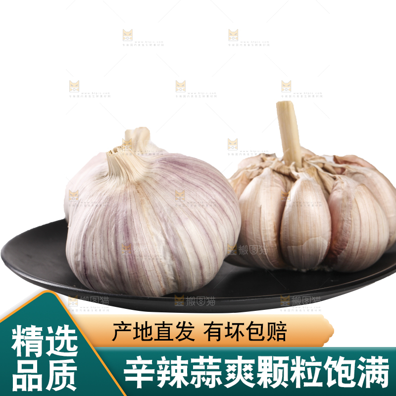 白底上的干蒜