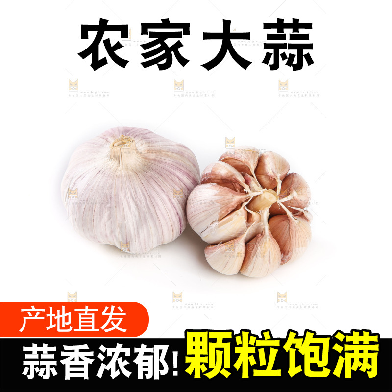 白底上的干蒜