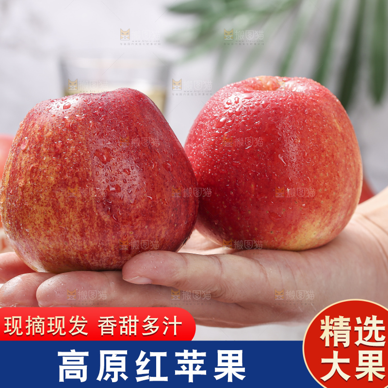 浅底上的高原红苹果