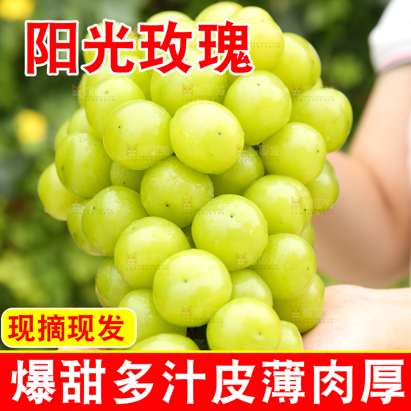 手里拿着阳光玫瑰