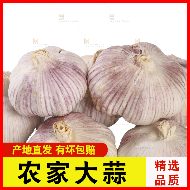 白底上的干蒜
