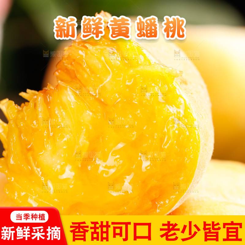 深底上的黄毛蟠桃
