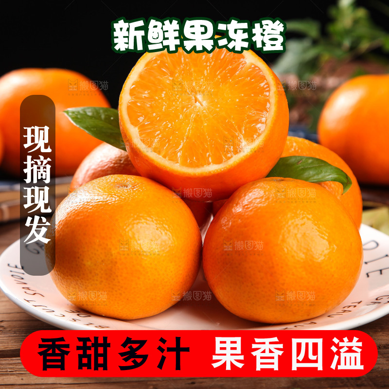 深木底上的爱媛38号