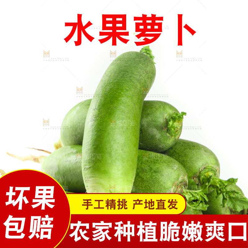 白底上的水果萝卜