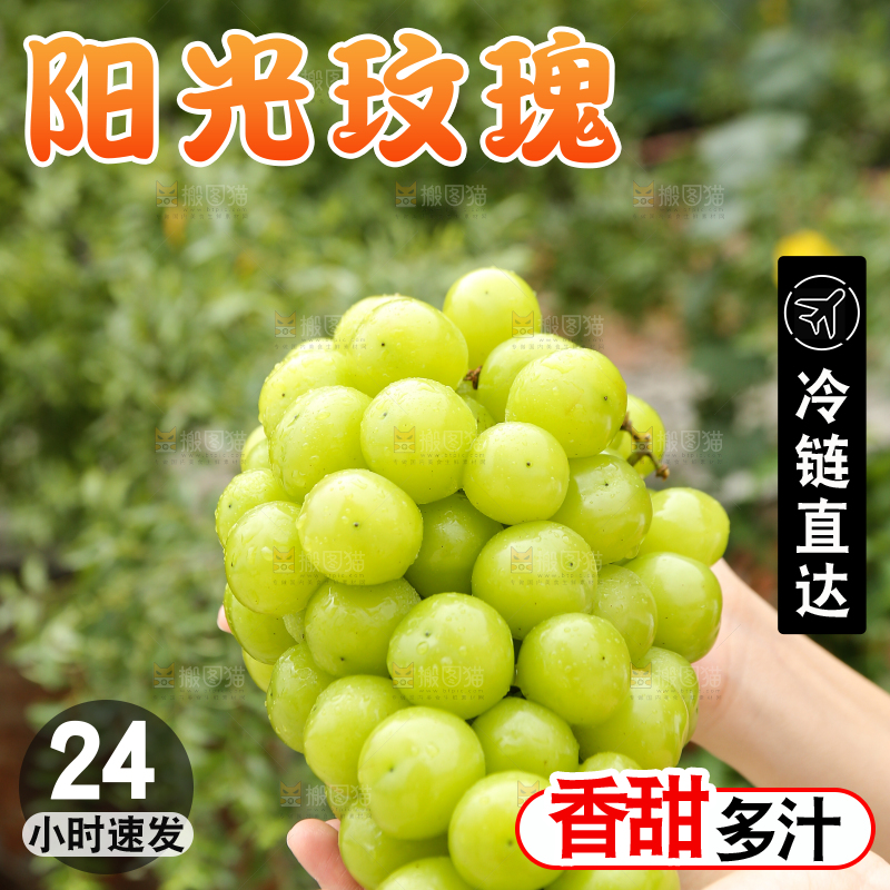 手里拿着阳光玫瑰