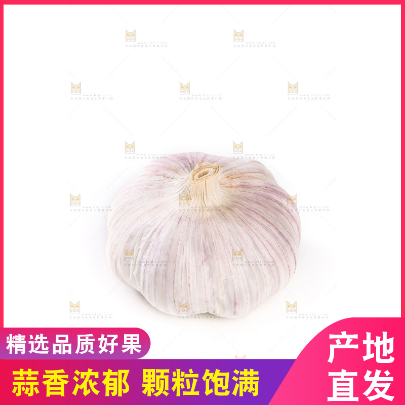 白底上的干蒜