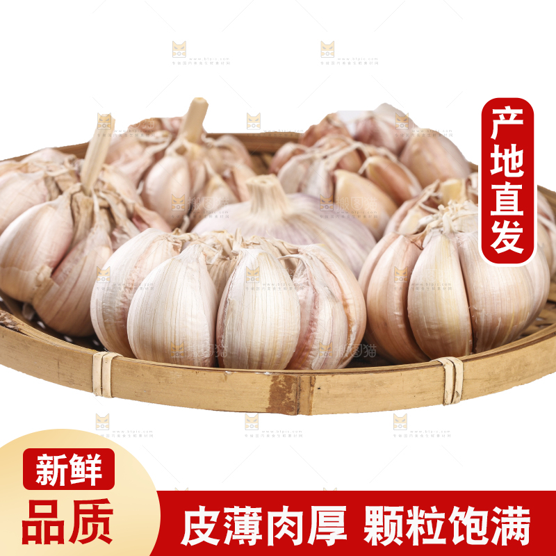 白底上的干蒜