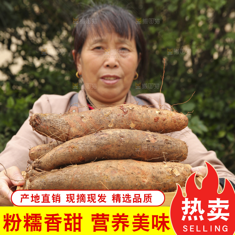 手里拿着灵芝山药