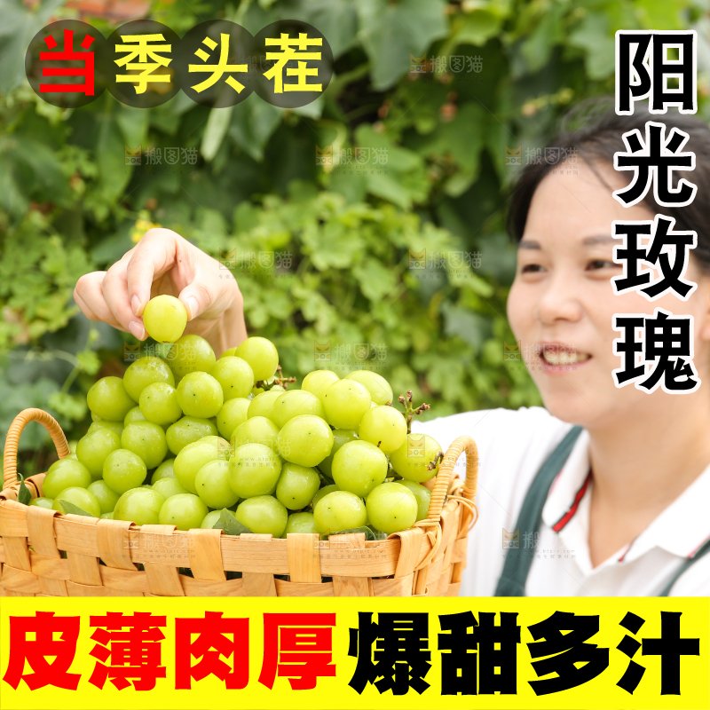 手里拿着阳光玫瑰