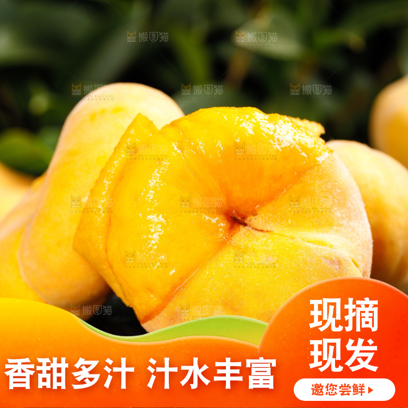 深底上的黄毛蟠桃