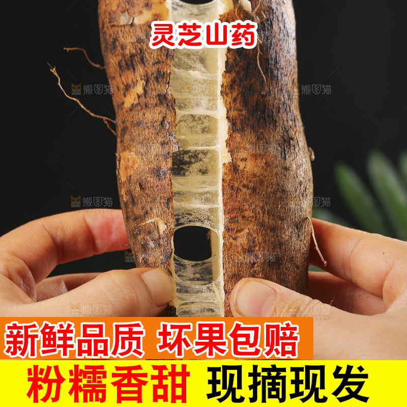 深底上的灵芝山药