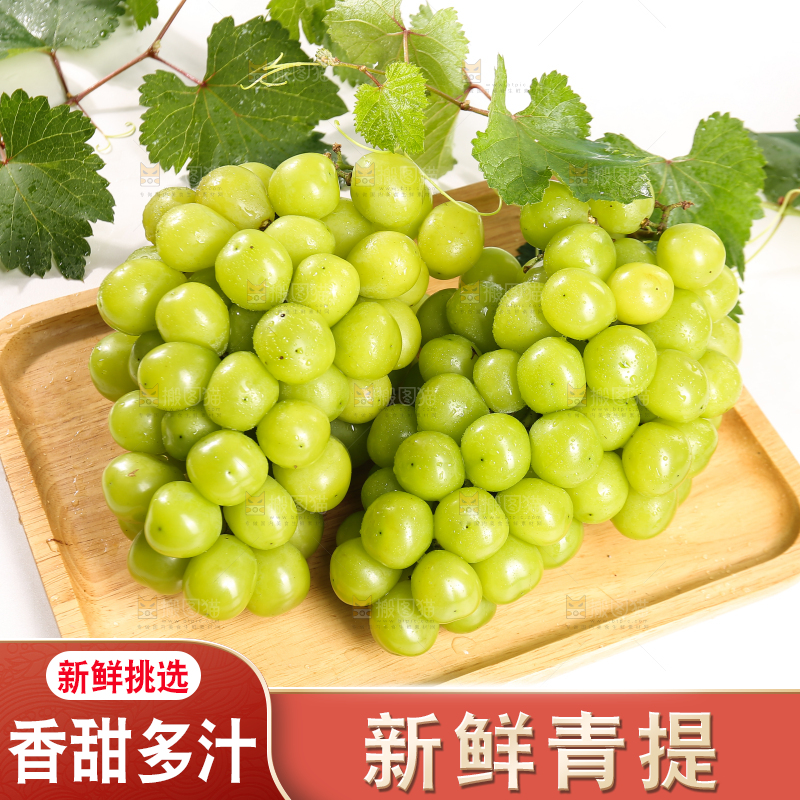 浅底上的晴王香印青提