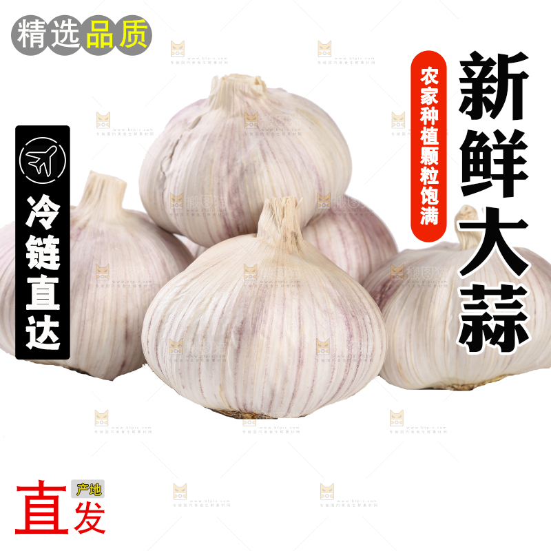 白底上的干蒜