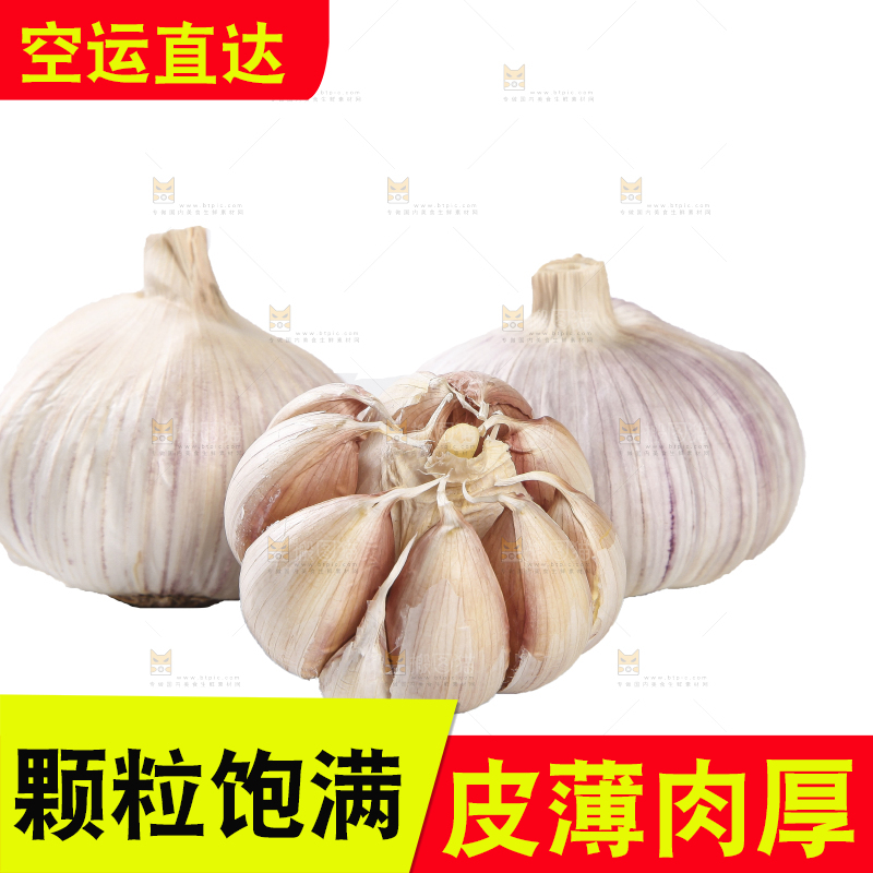 白底上的干蒜