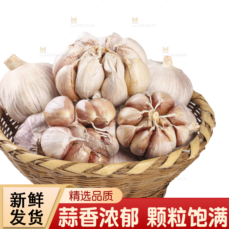 白底上的干蒜