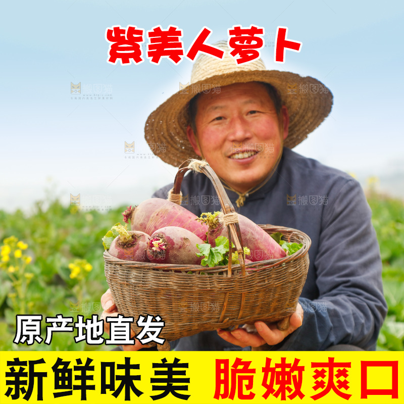 手里拿着紫美人萝卜