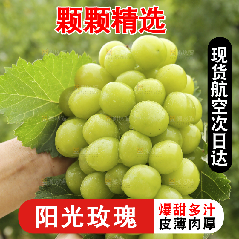 手里拿着阳光玫瑰