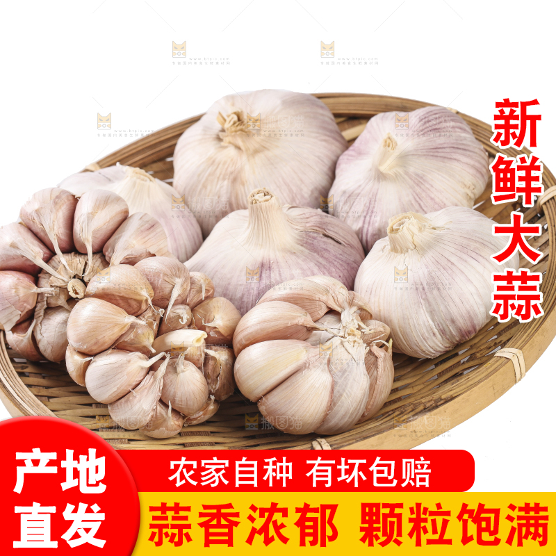 白底上的干蒜