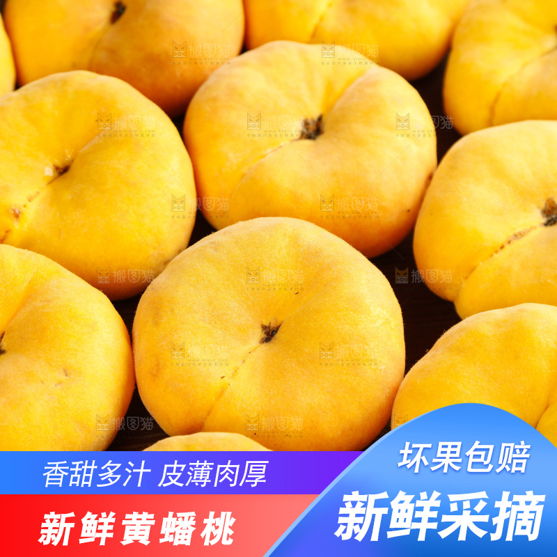 深底上的黄毛蟠桃