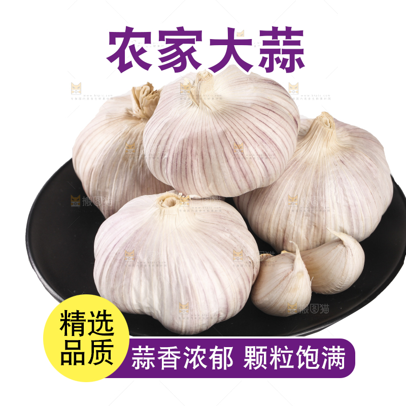 白底上的干蒜