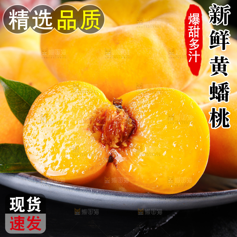 深底上的黄毛蟠桃