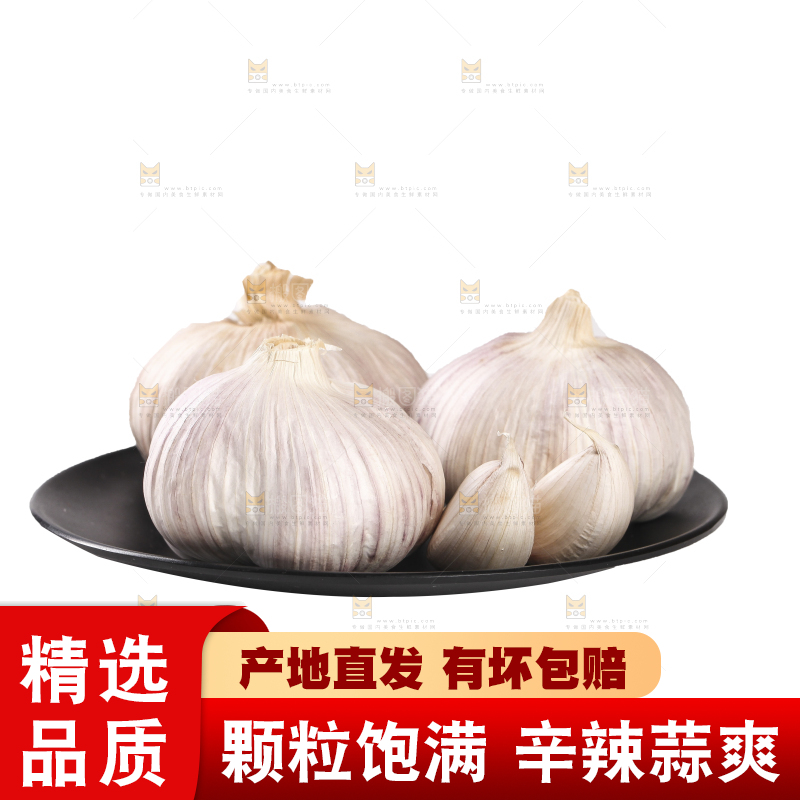 白底上的干蒜