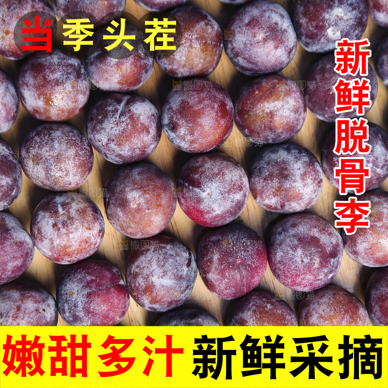 深底上放着脱骨李