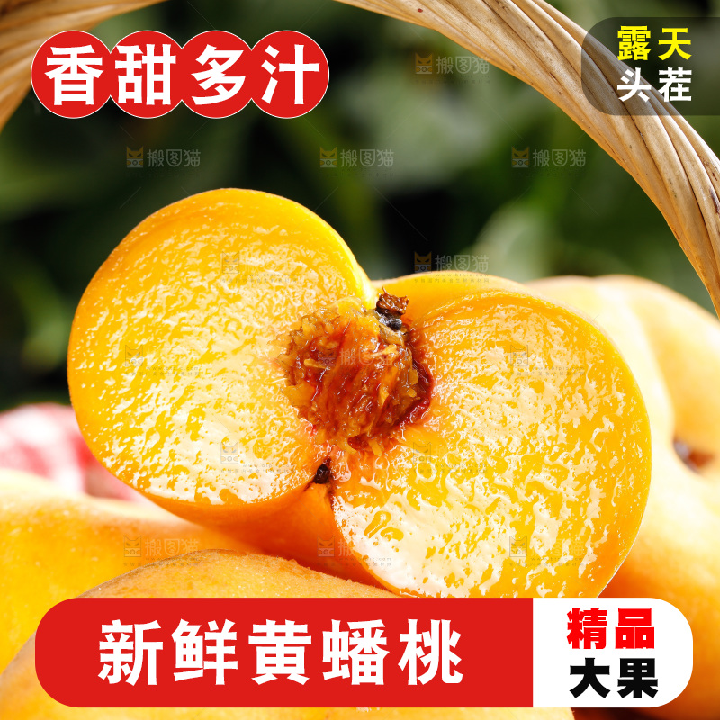 深底上的黄毛蟠桃