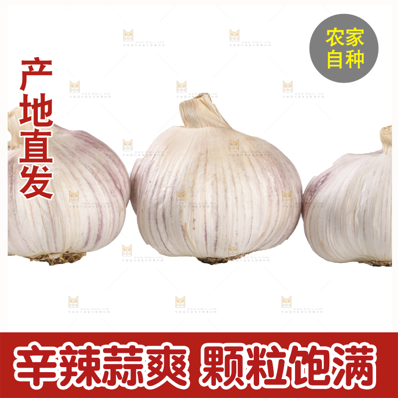 白底上的干蒜