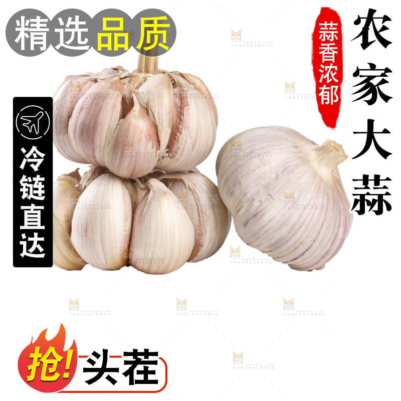 白底上的干蒜