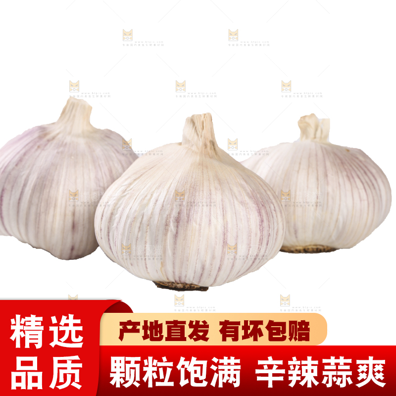 白底上的干蒜