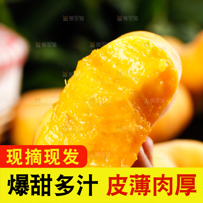 深底上的黄毛蟠桃