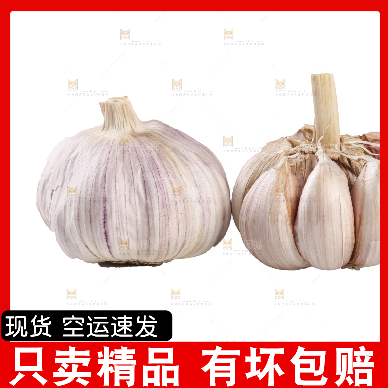 白底上的干蒜