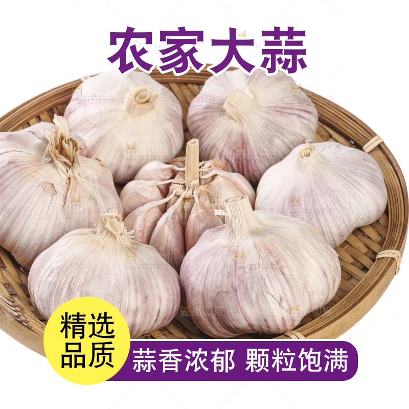 白底上的干蒜