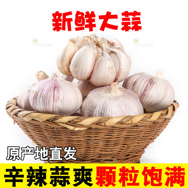 白底上的干蒜