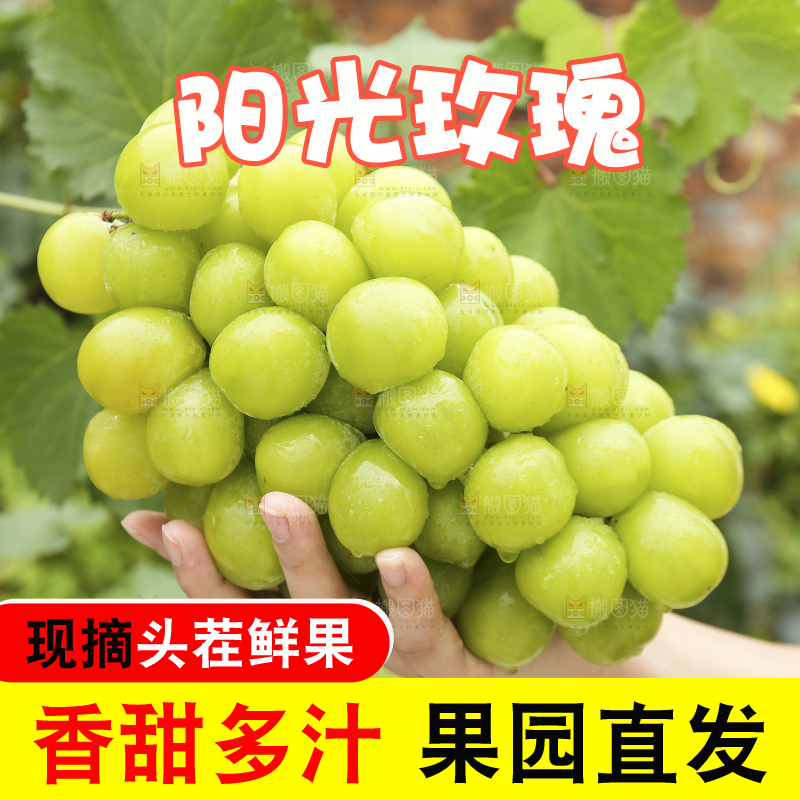 阳光玫瑰青提主图