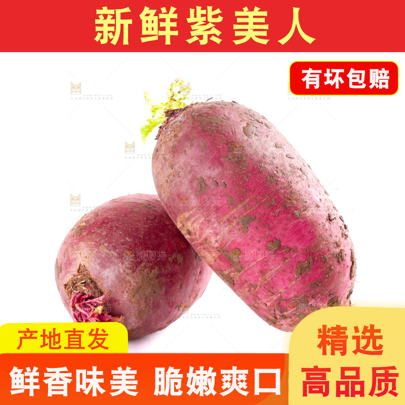 白底上的紫美人萝卜