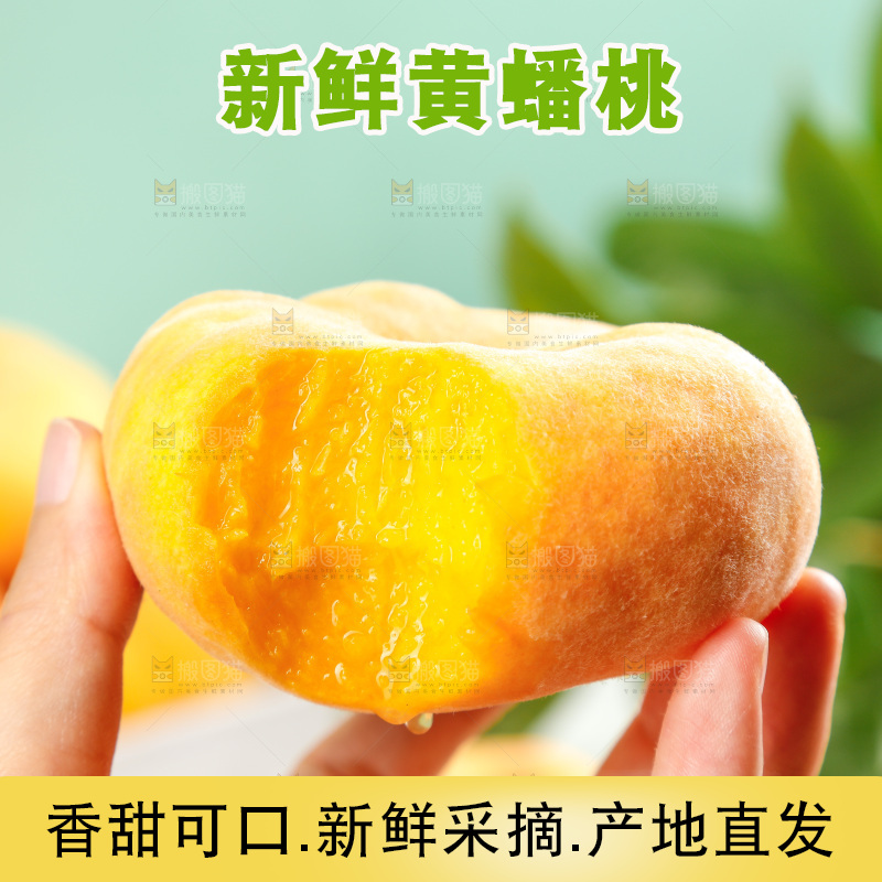 浅底上放着的黄蟠桃