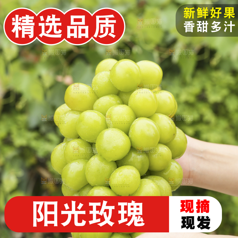 手里拿着阳光玫瑰