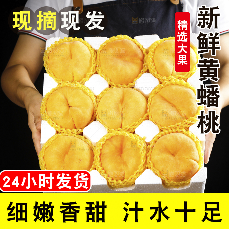 深底上的黄毛蟠桃