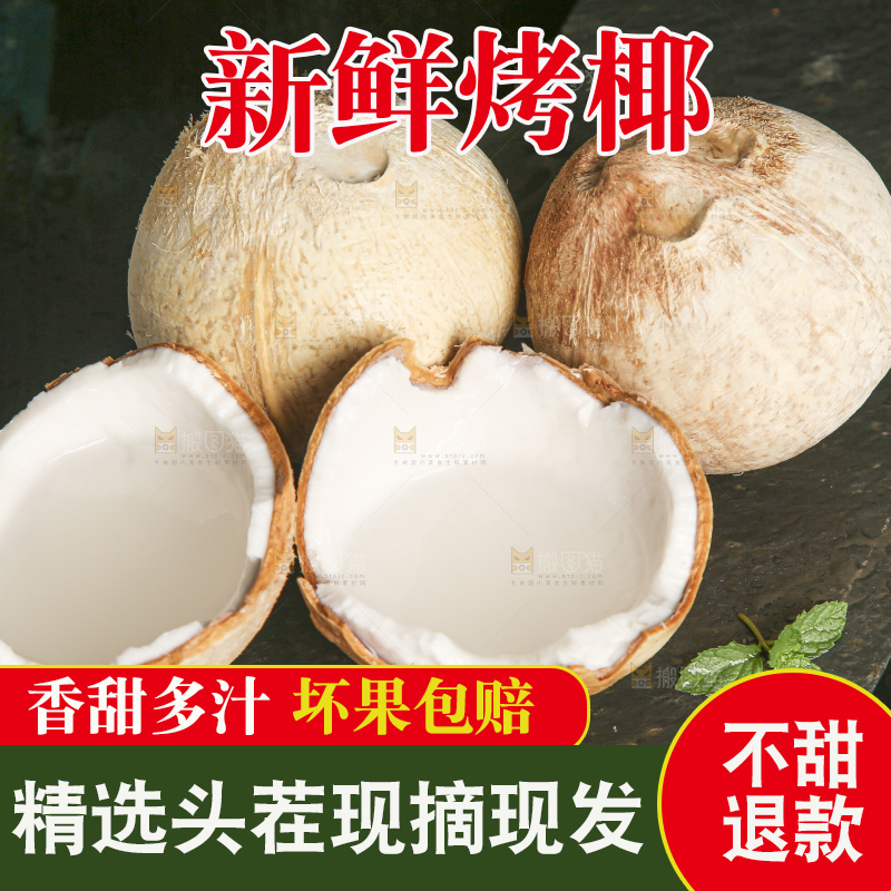 深底上的泰国进口烤椰