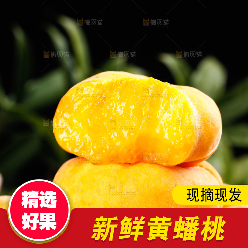 深底上的黄毛蟠桃