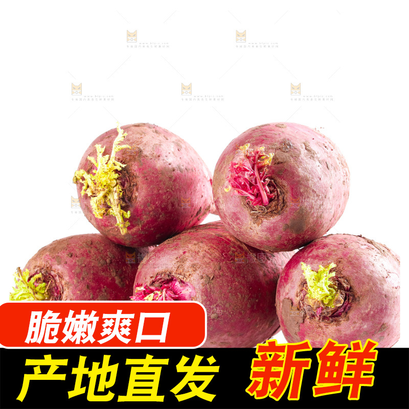 白底上的紫美人萝卜