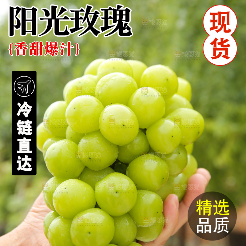 手里拿着阳光玫瑰